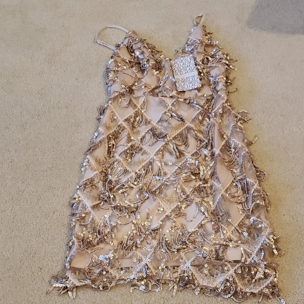 Elegant Sequin Embellished Dress